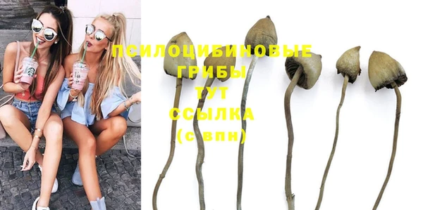 PSILOCYBIN Абаза