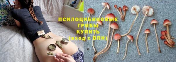 PSILOCYBIN Абаза