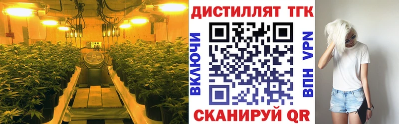 где купить наркотик  Щучье  ТГК вейп 